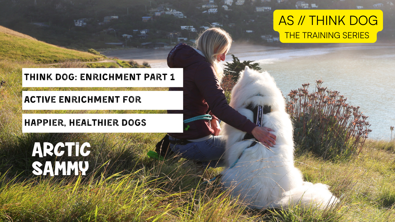 Think Dog: Enrichment Part 1 – Active Enrichment for Happier, Healthier Dogs