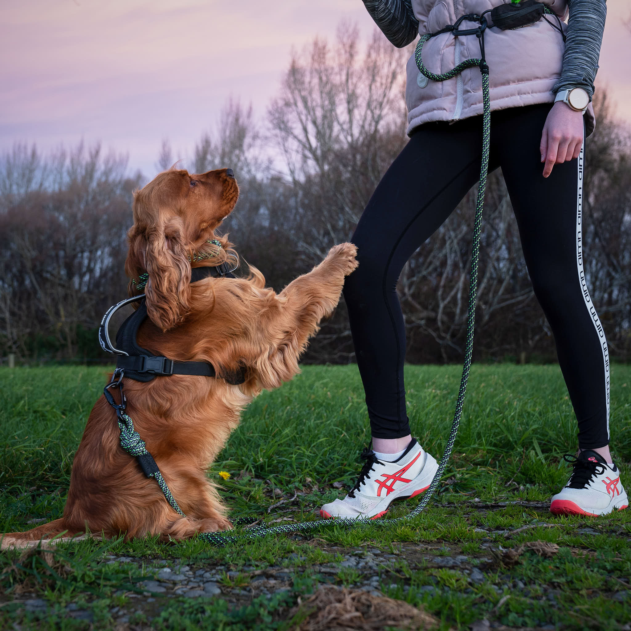 Trail Runner Handsfree Dog Leashes