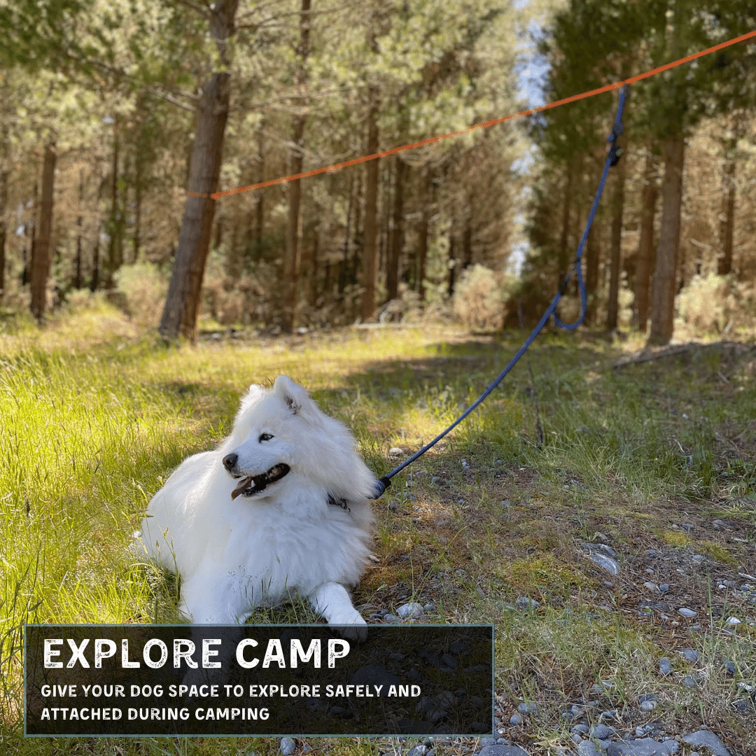 Dog Camping Zipline