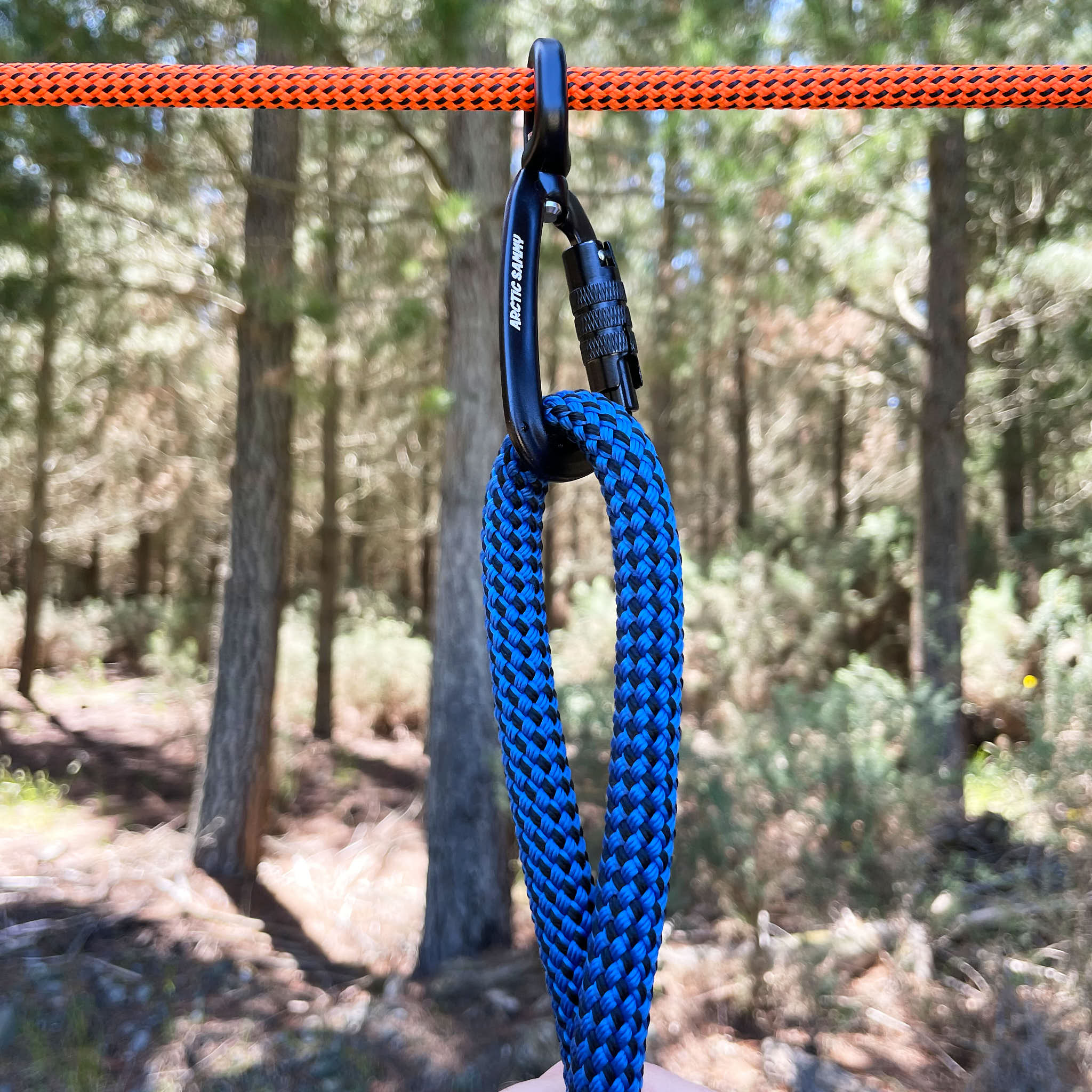 dog leash zipline