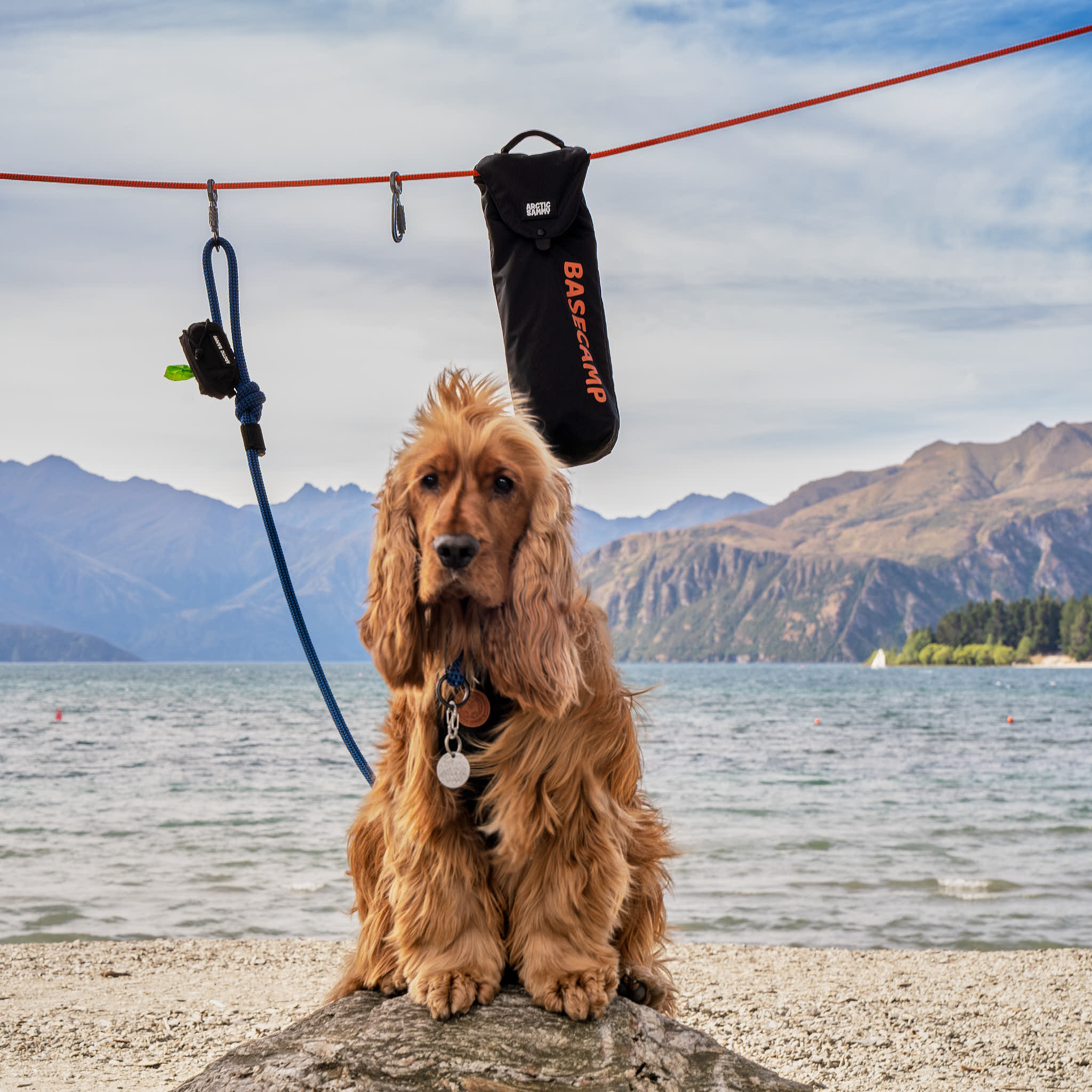 Basecamp Dog Camping Zipline