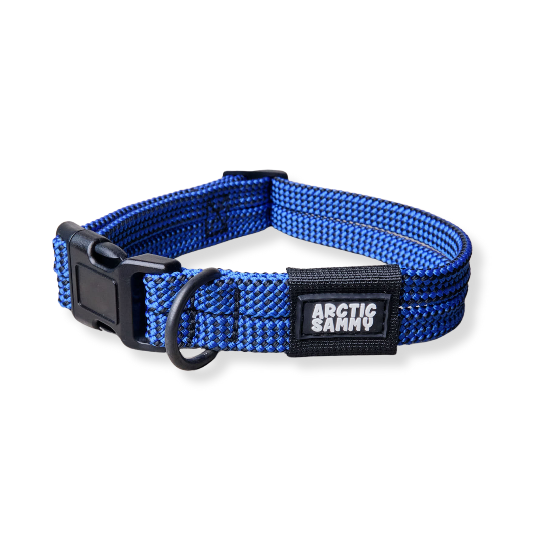 Benmore Dog Collar