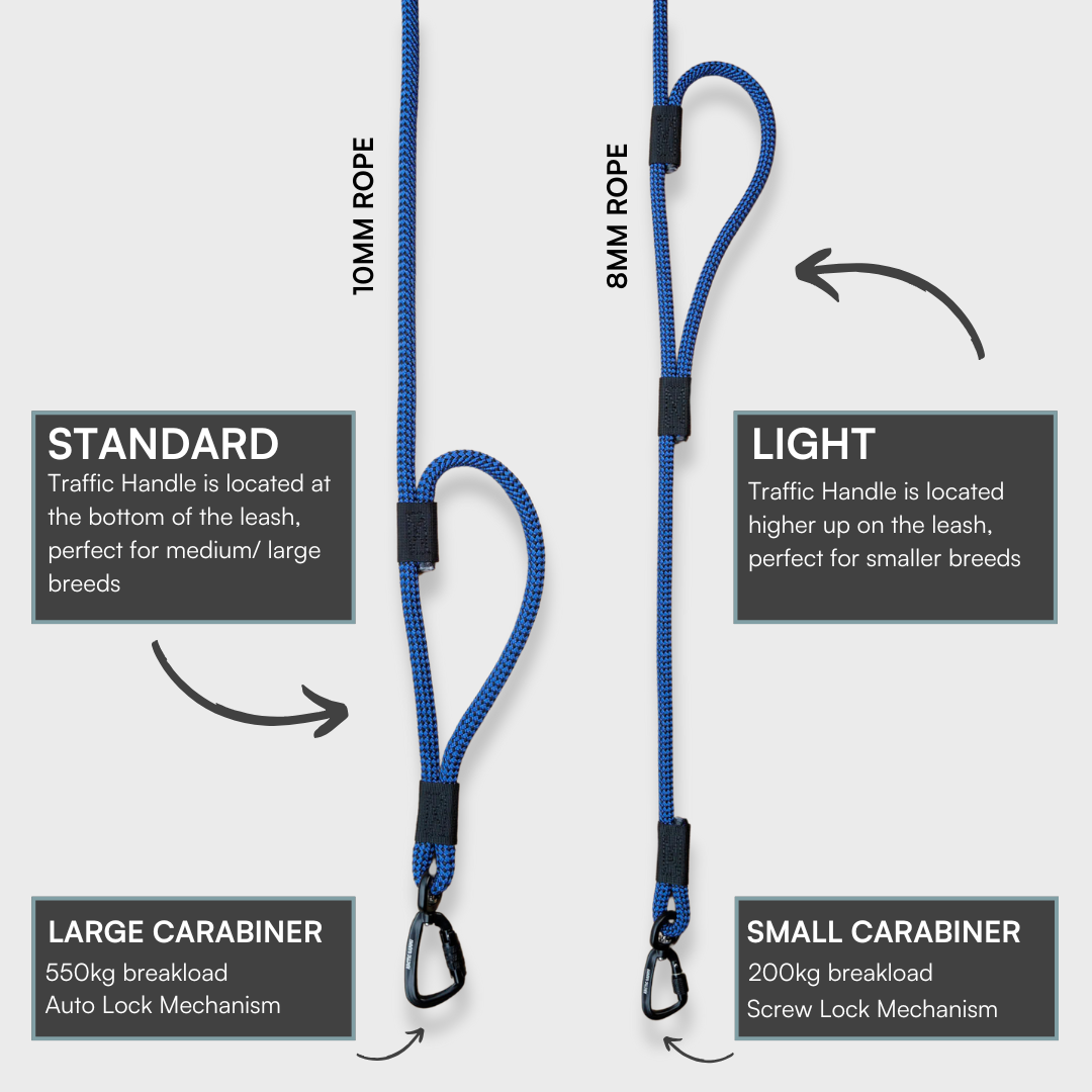 Benmore Rope Dog Leash with Traffic Handle