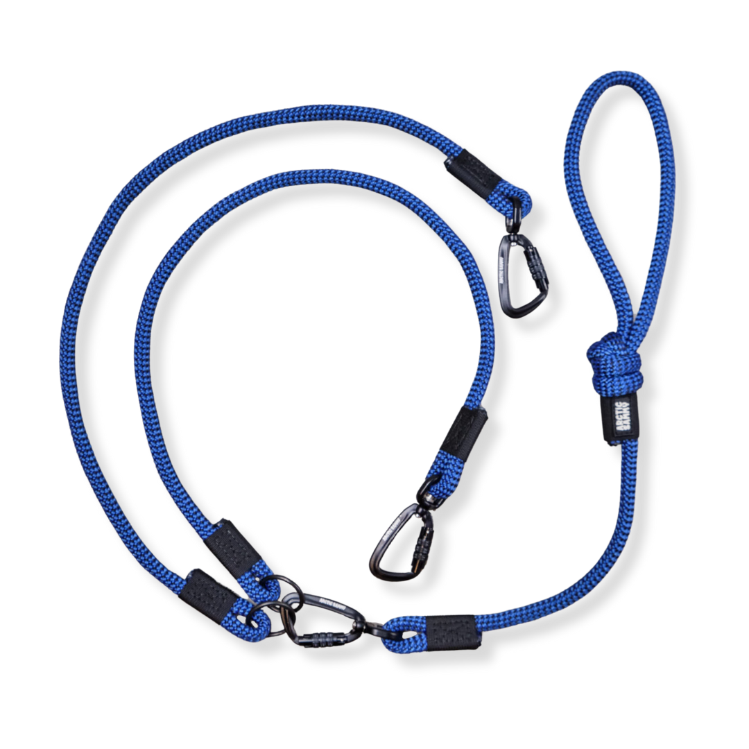 Benmore Double Dog Leash