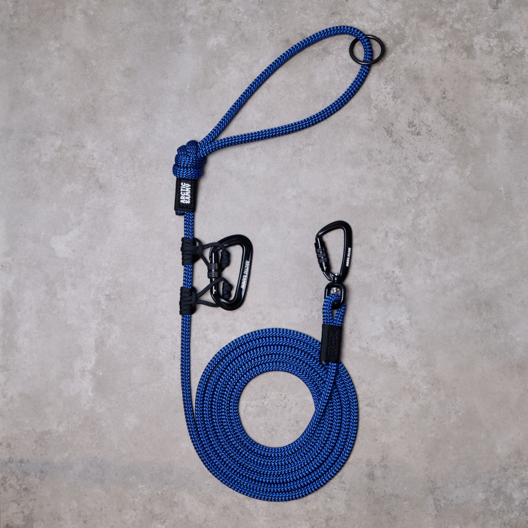 Small Dog Leash