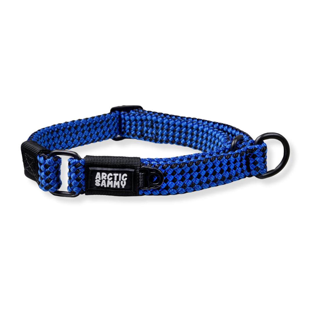 Benmore Martingale Collar