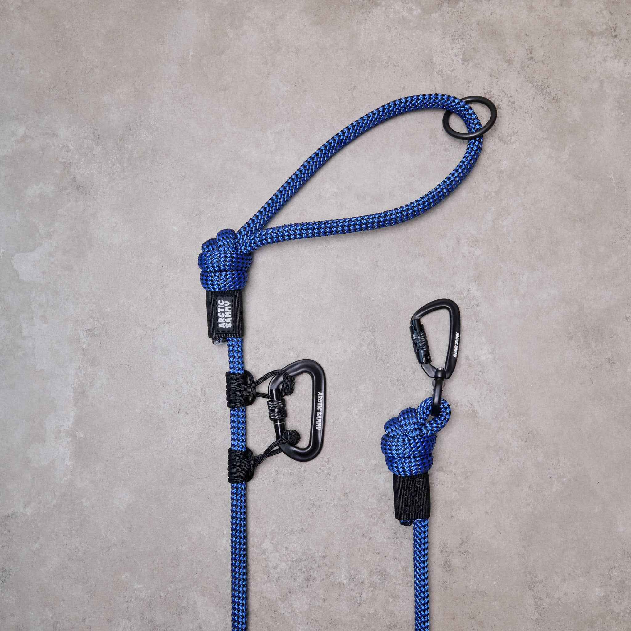 dog leashes