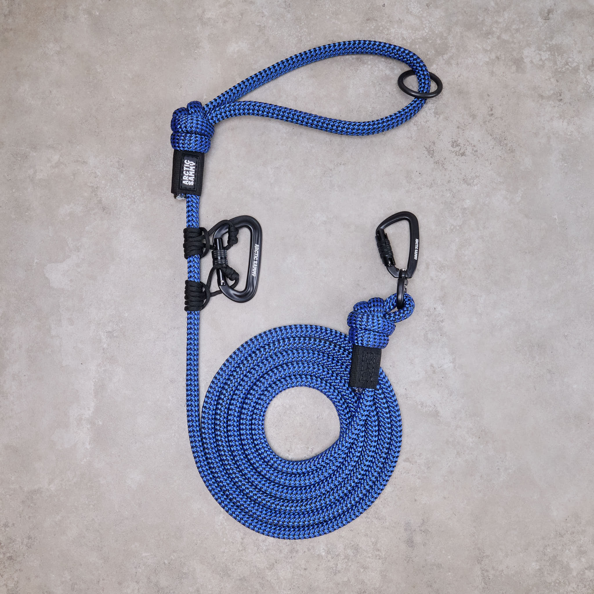 dog leads