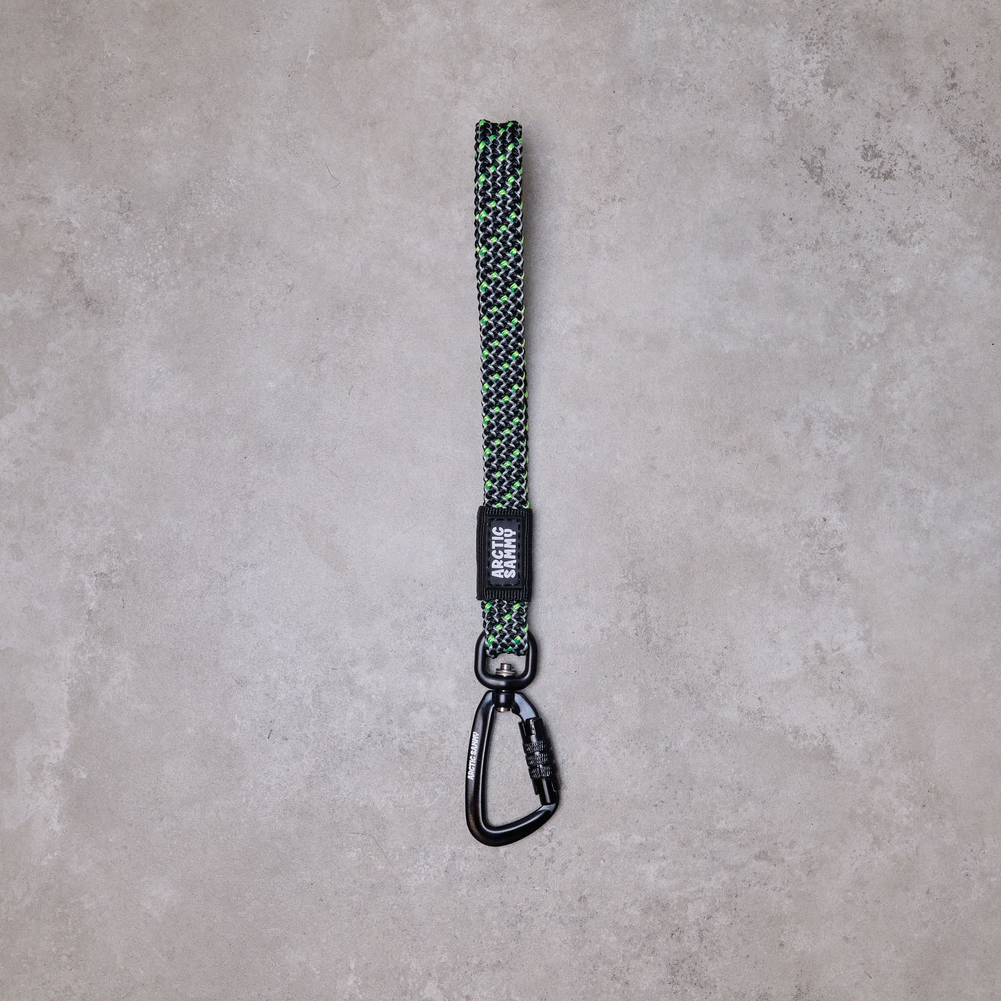 dog lead