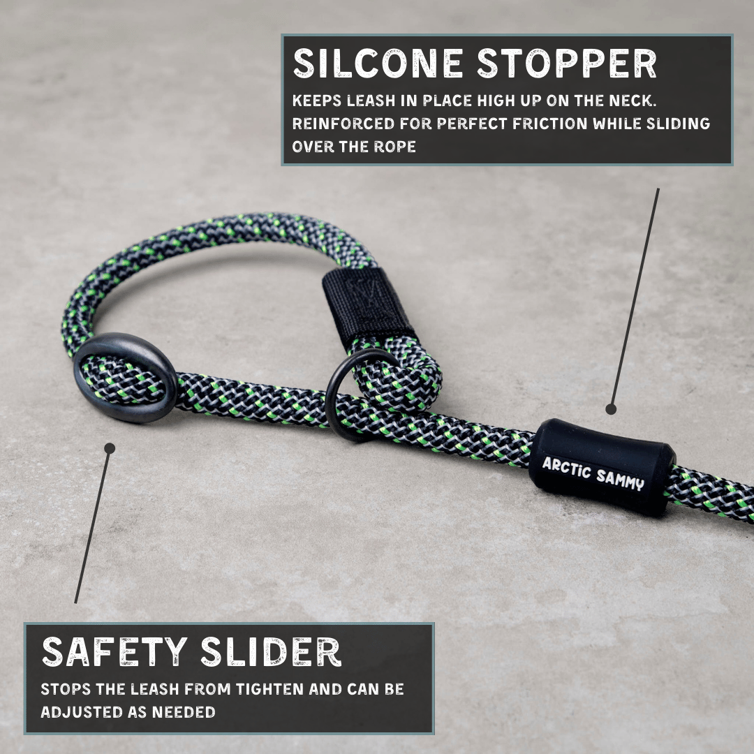 Craigieburn Dog Slip Leash