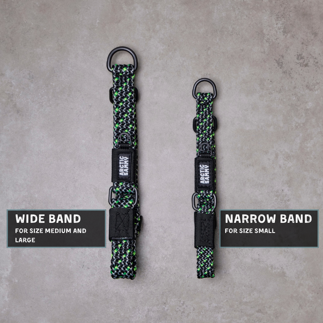 Craigieburn Martingale Collar