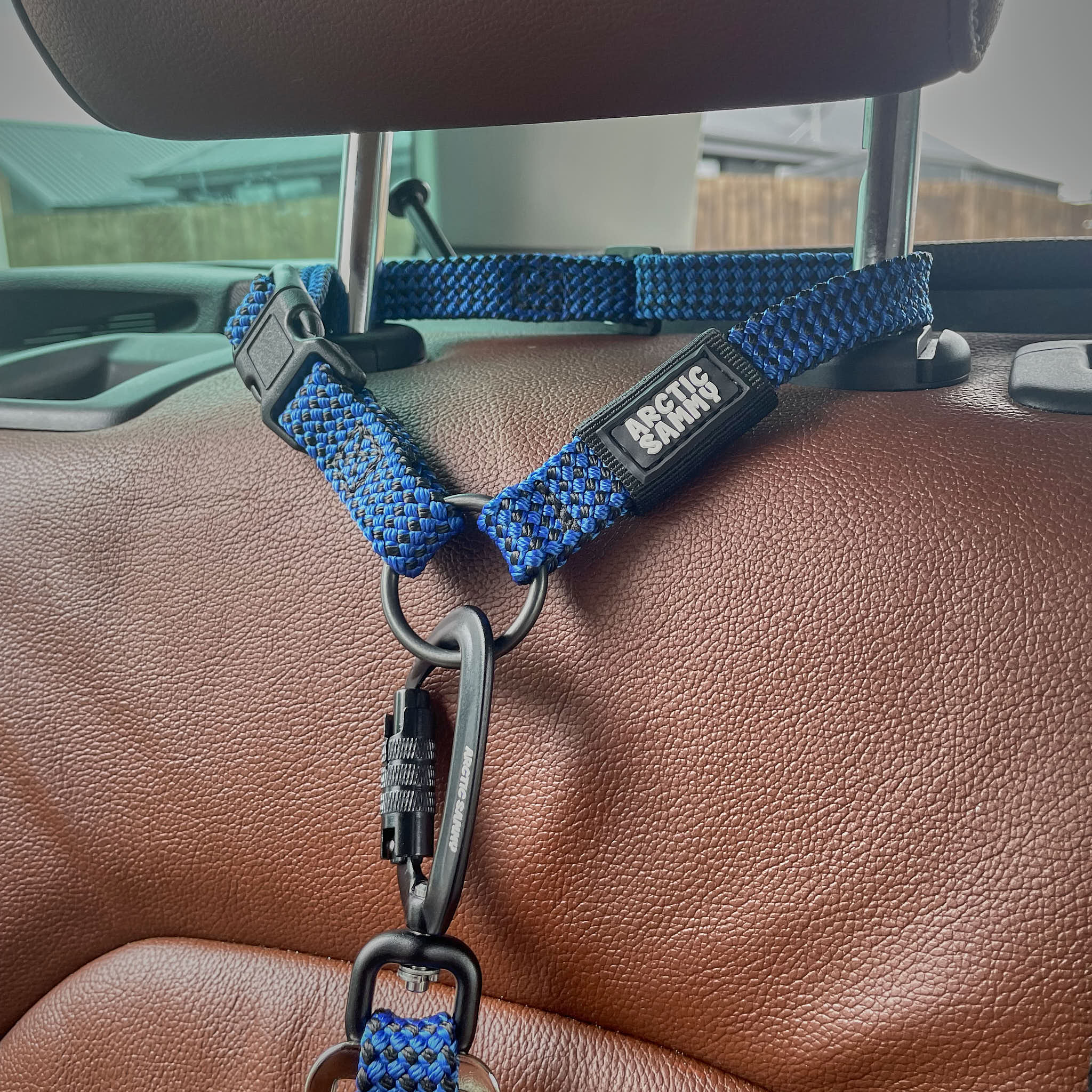 3-in-1 Dog Car Tether Raglan