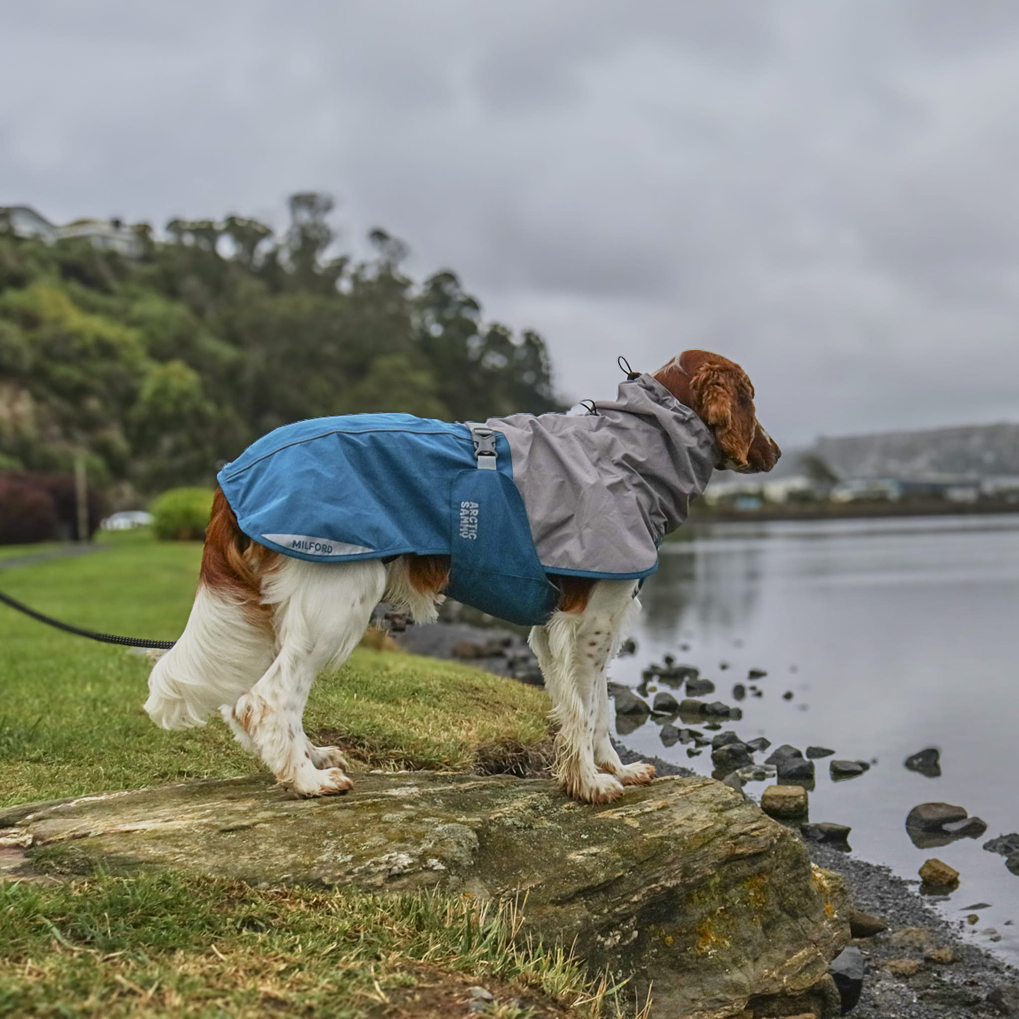 Dog Raincoat Milford