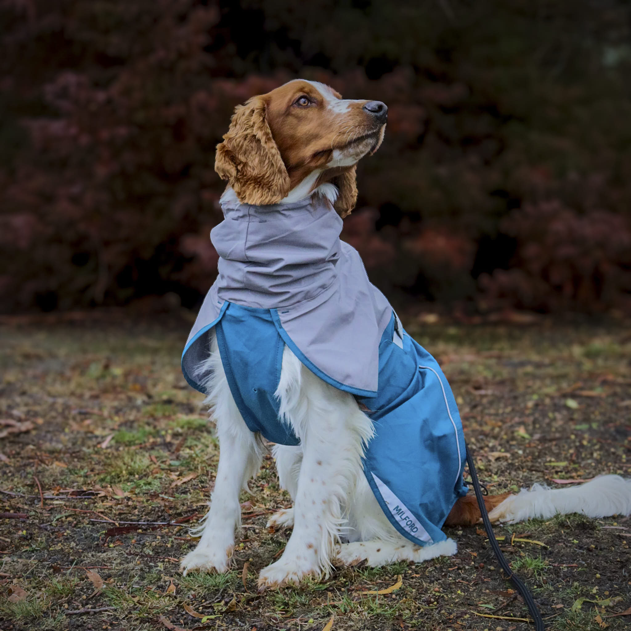 Dog Raincoat Milford