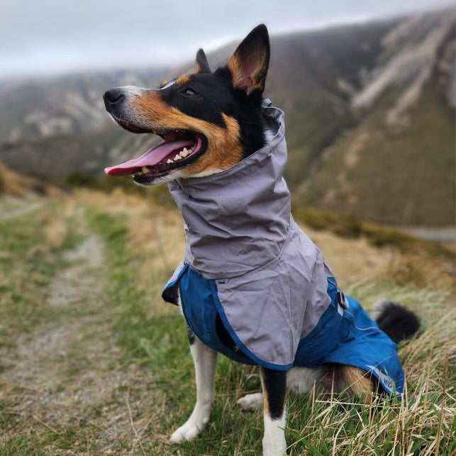 Dog Raincoat Milford