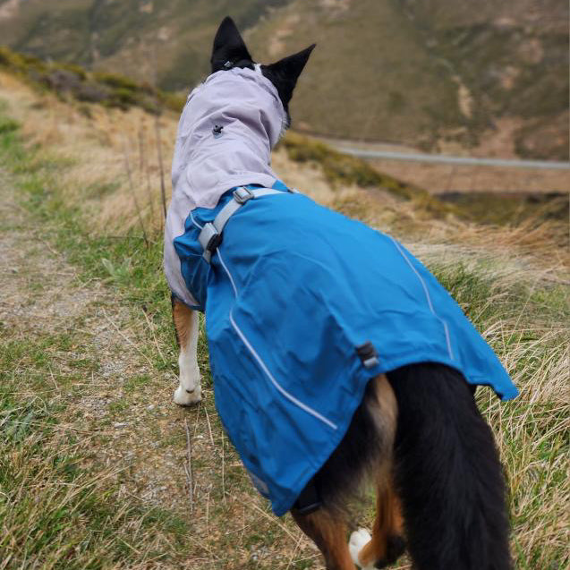 Dog Raincoat Milford