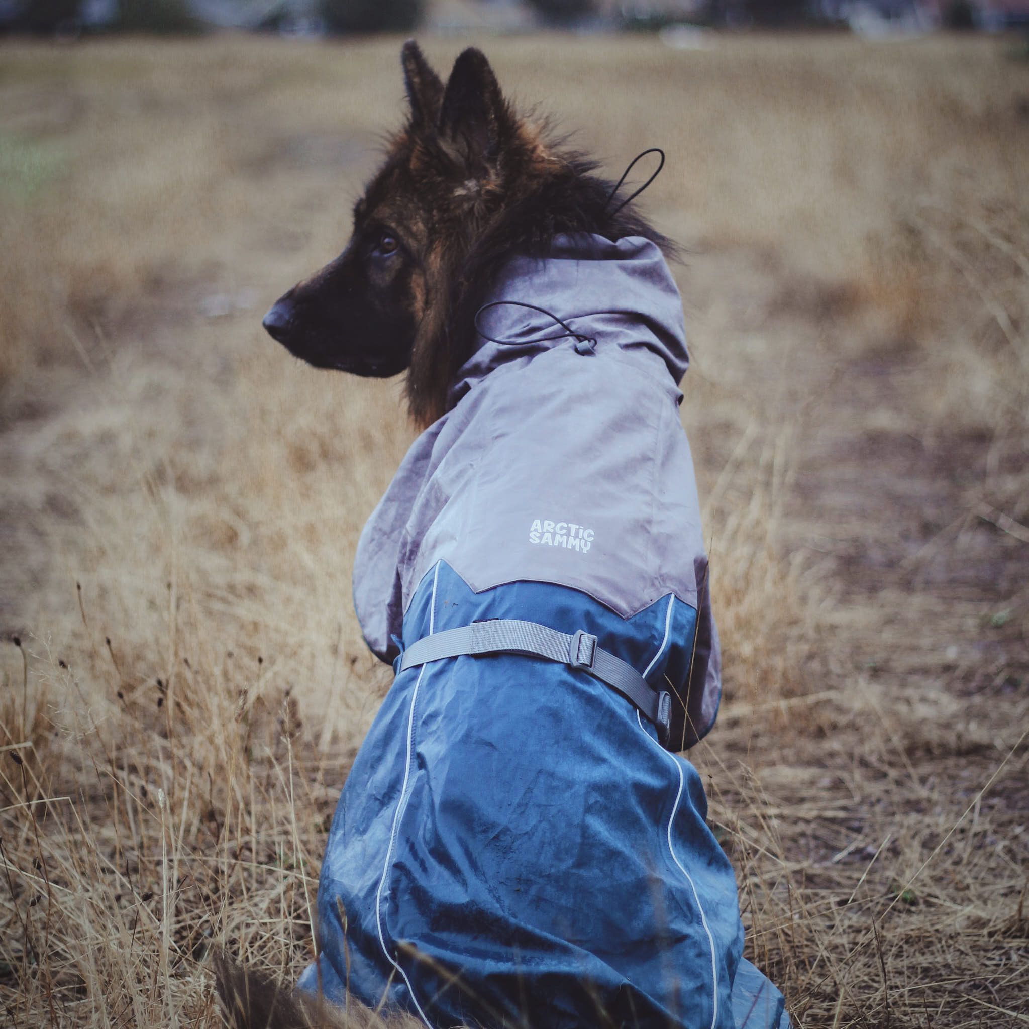 Dog Raincoat Milford