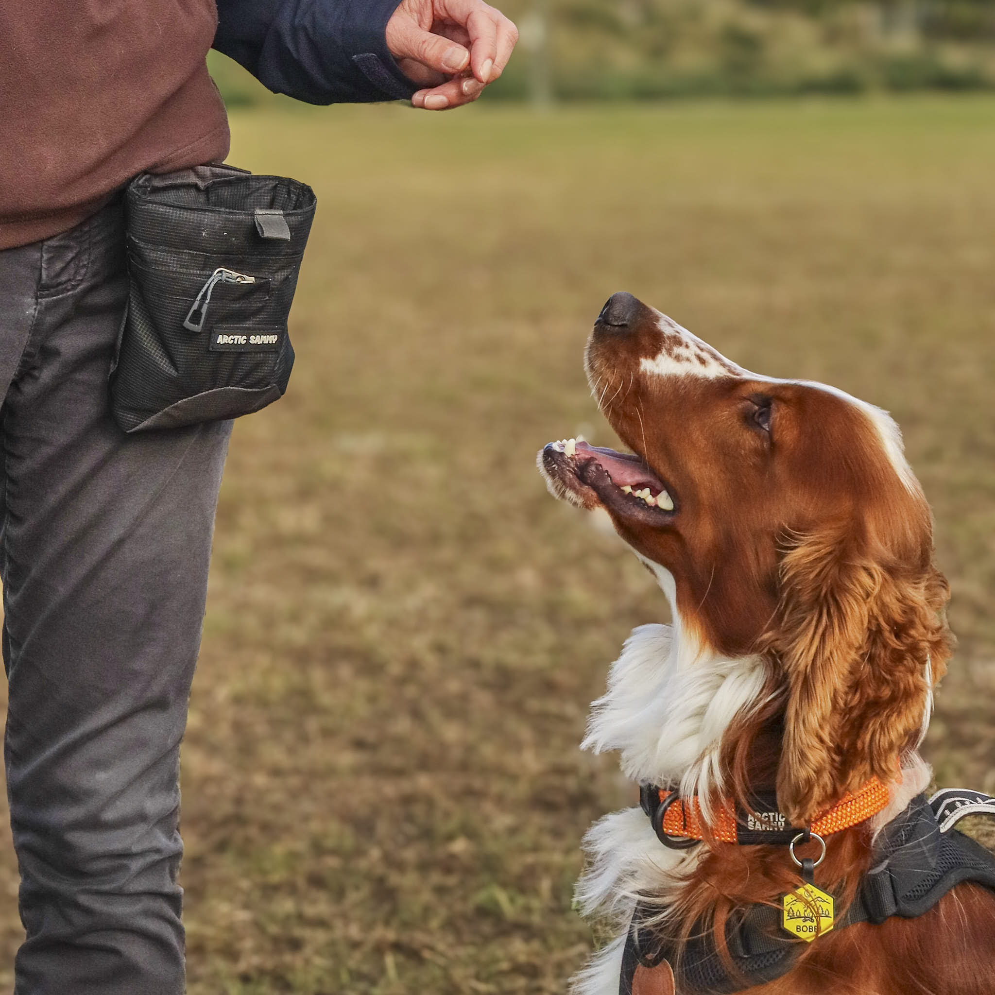 Dog Treat Pouch