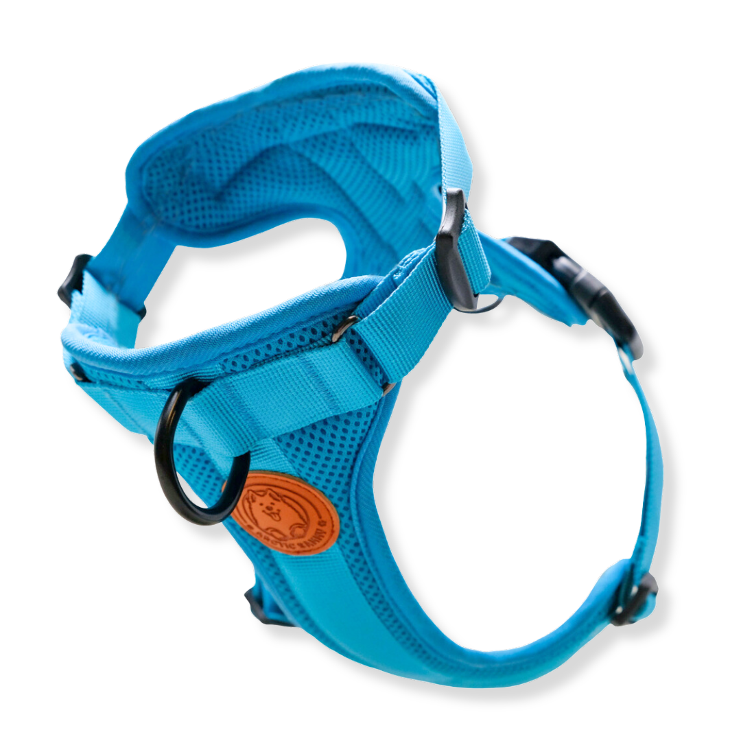 Pets corner love sales harness