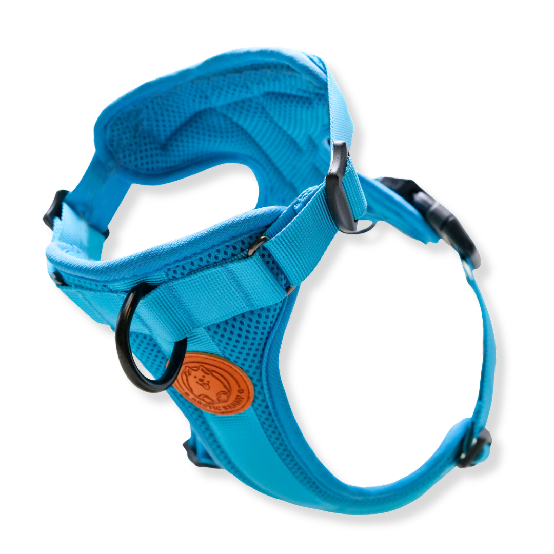 Adventure Dog Harness