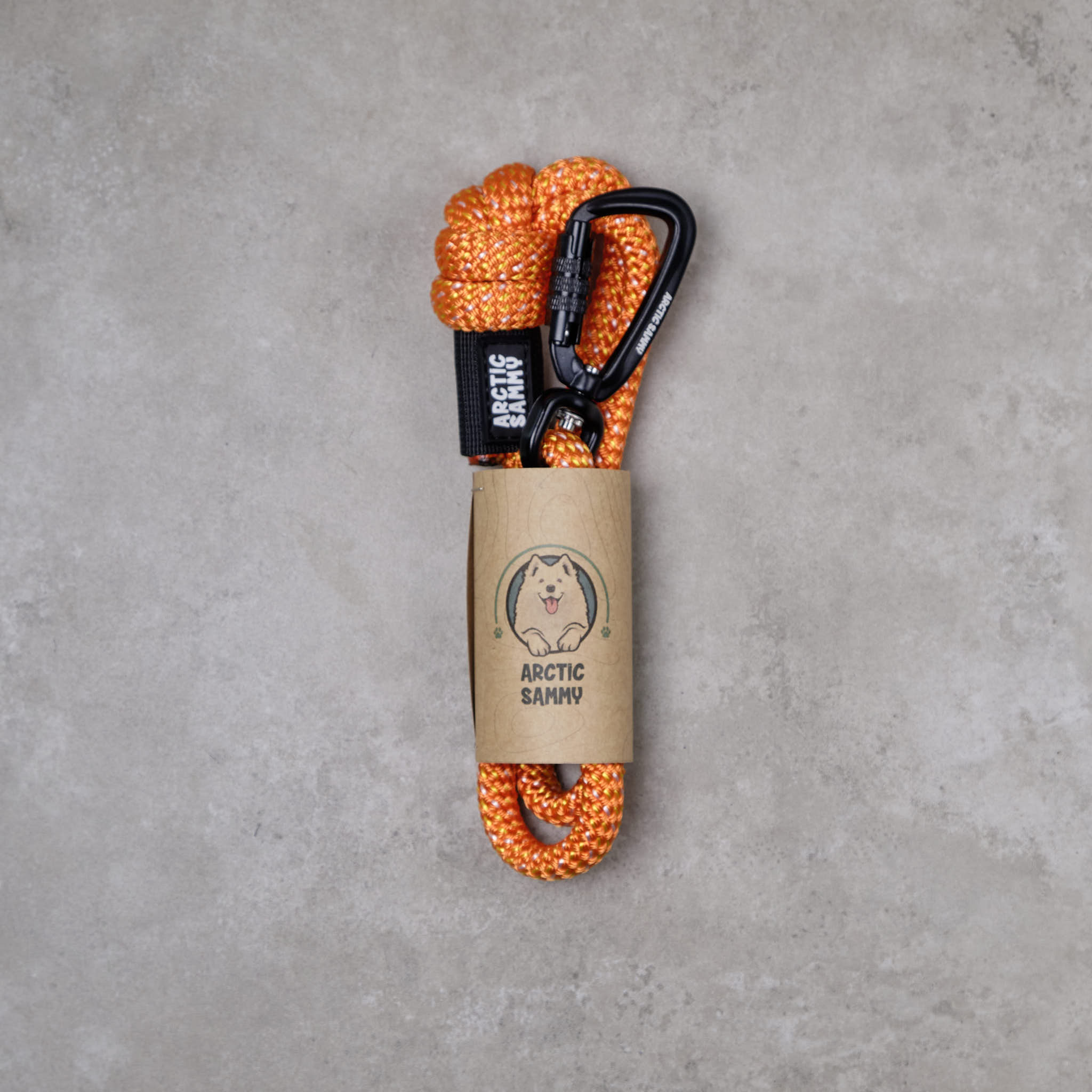 Hawea City Walker Dog Traffic Leash