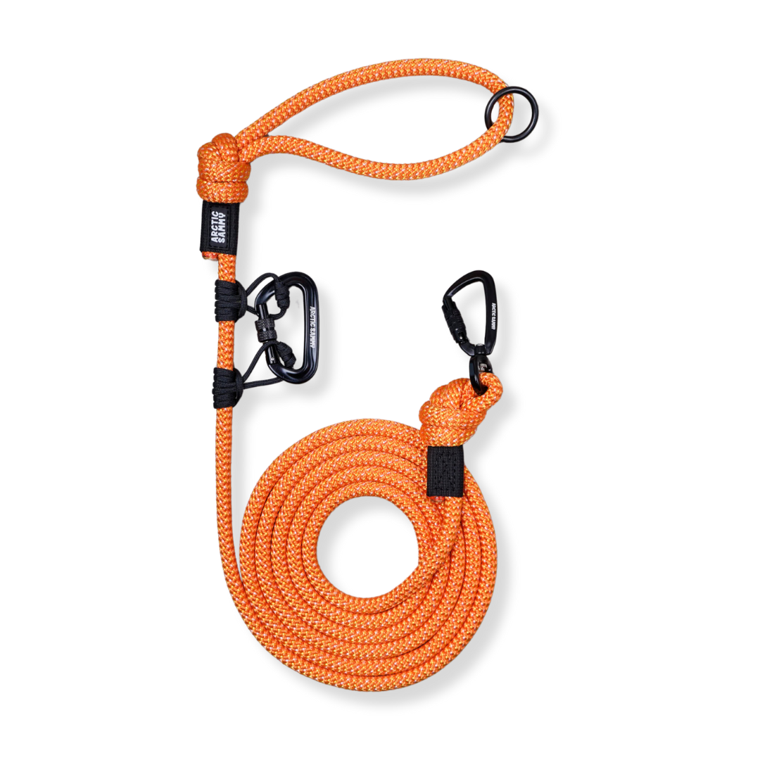 Hawea Trail Runner Handsfree Dog Leash