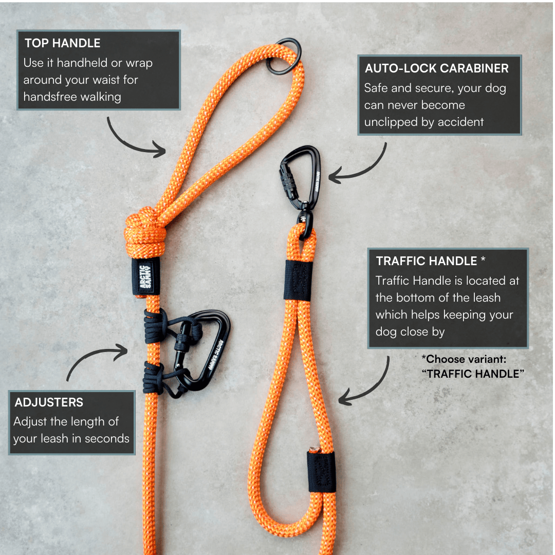 Hawea Trail Runner Handsfree Dog Leash