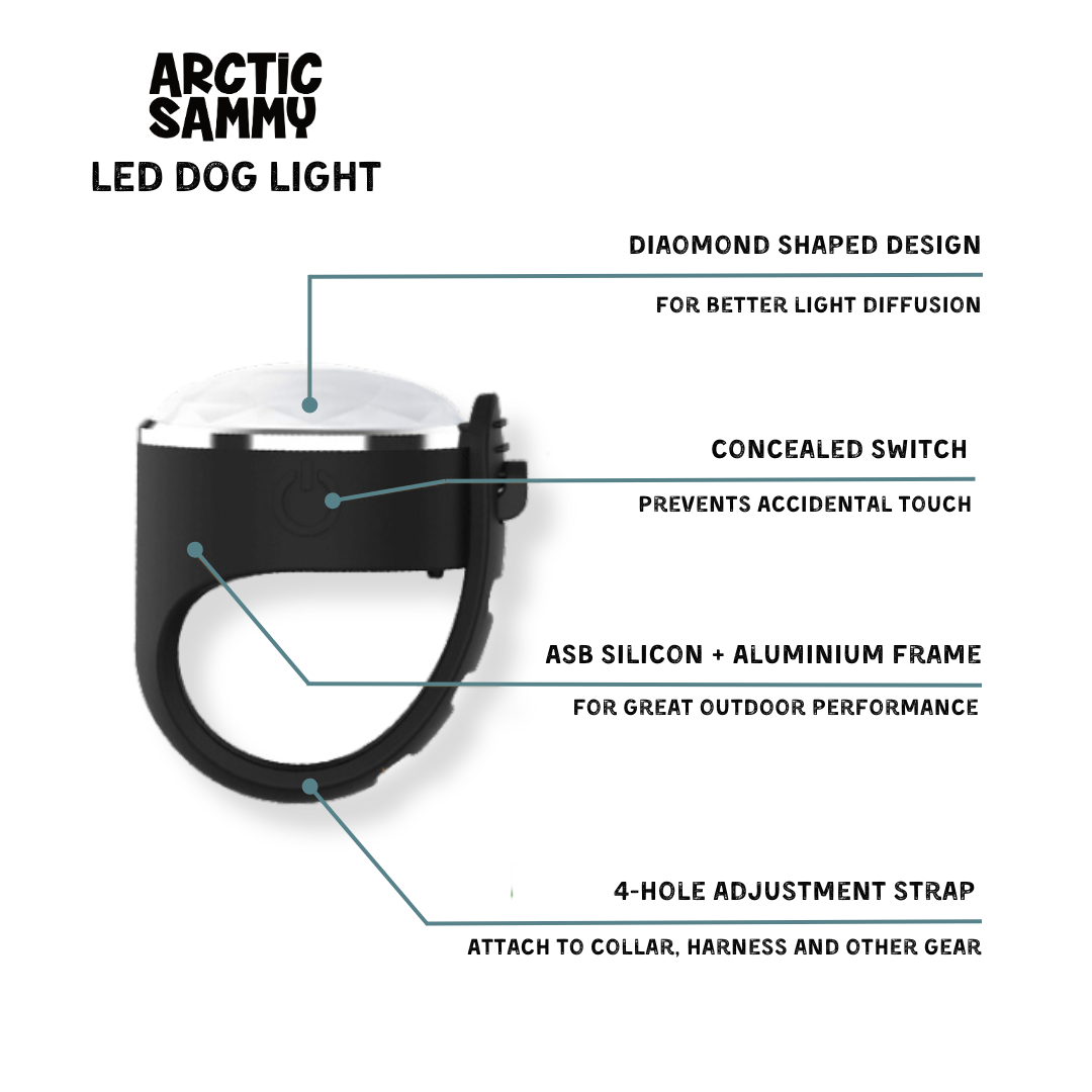 LED Dog Collar Light