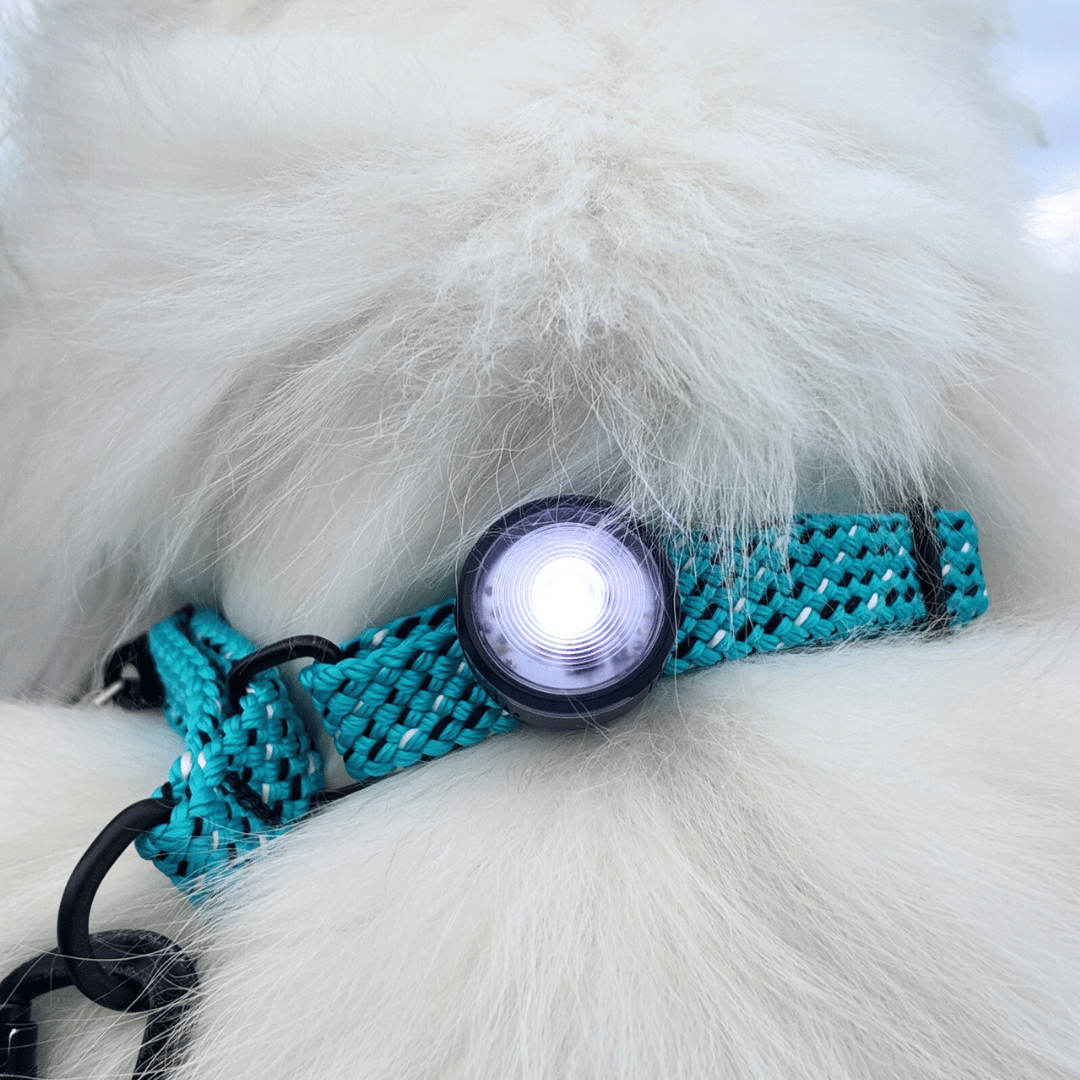 LED Dog Collar Light