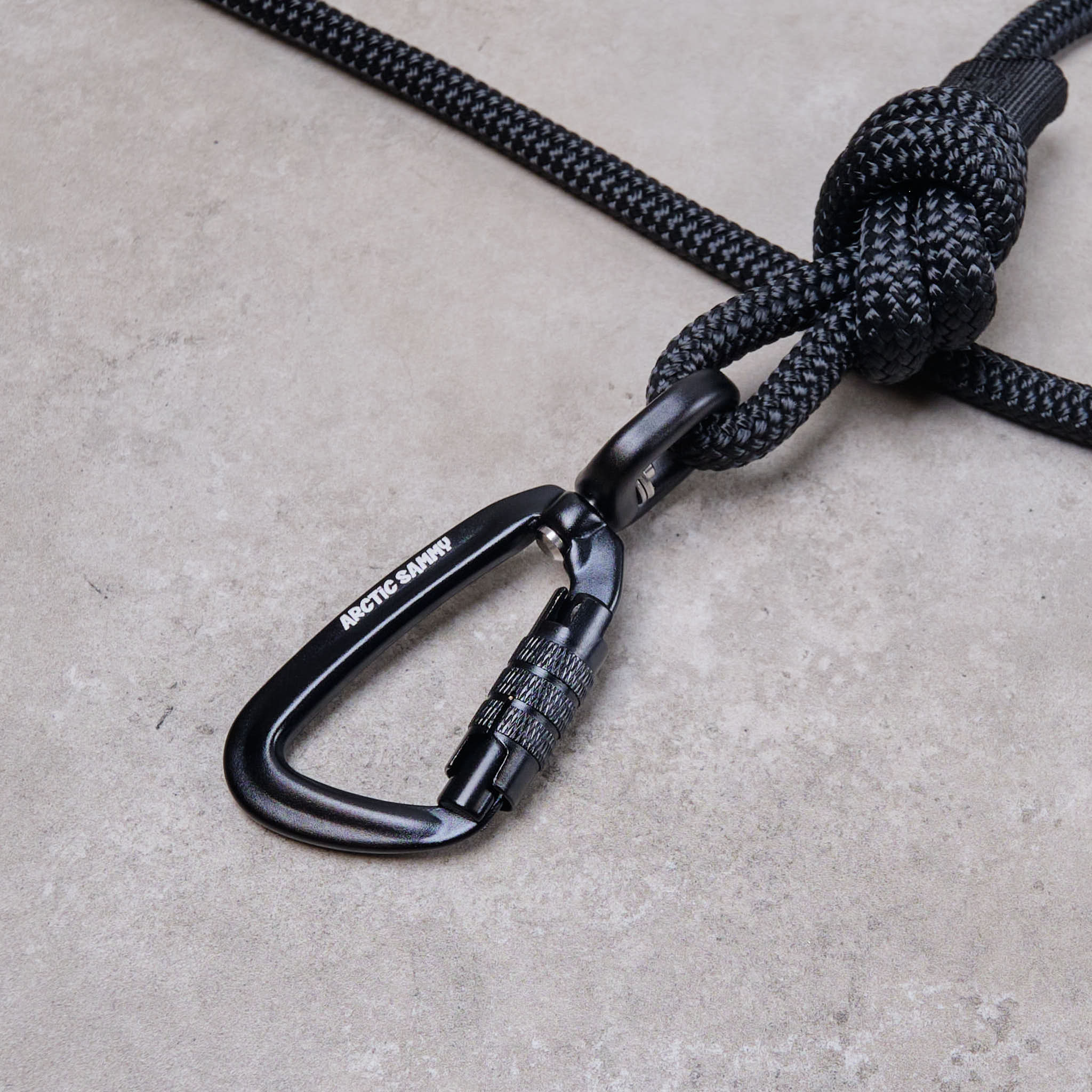 long line dog training lead