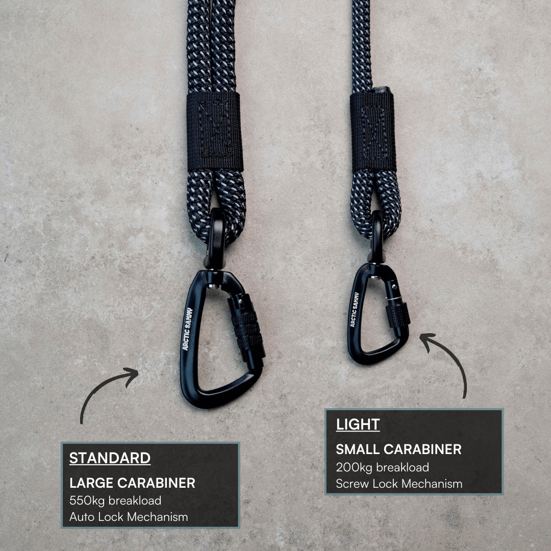 Mackenzie Rope Dog Leash with Traffic Handle