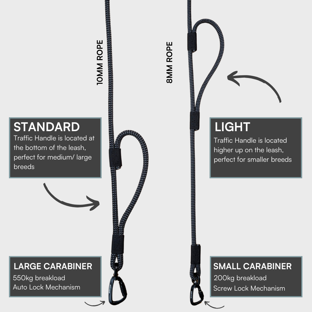 Mackenzie Rope Dog Leash with Traffic Handle