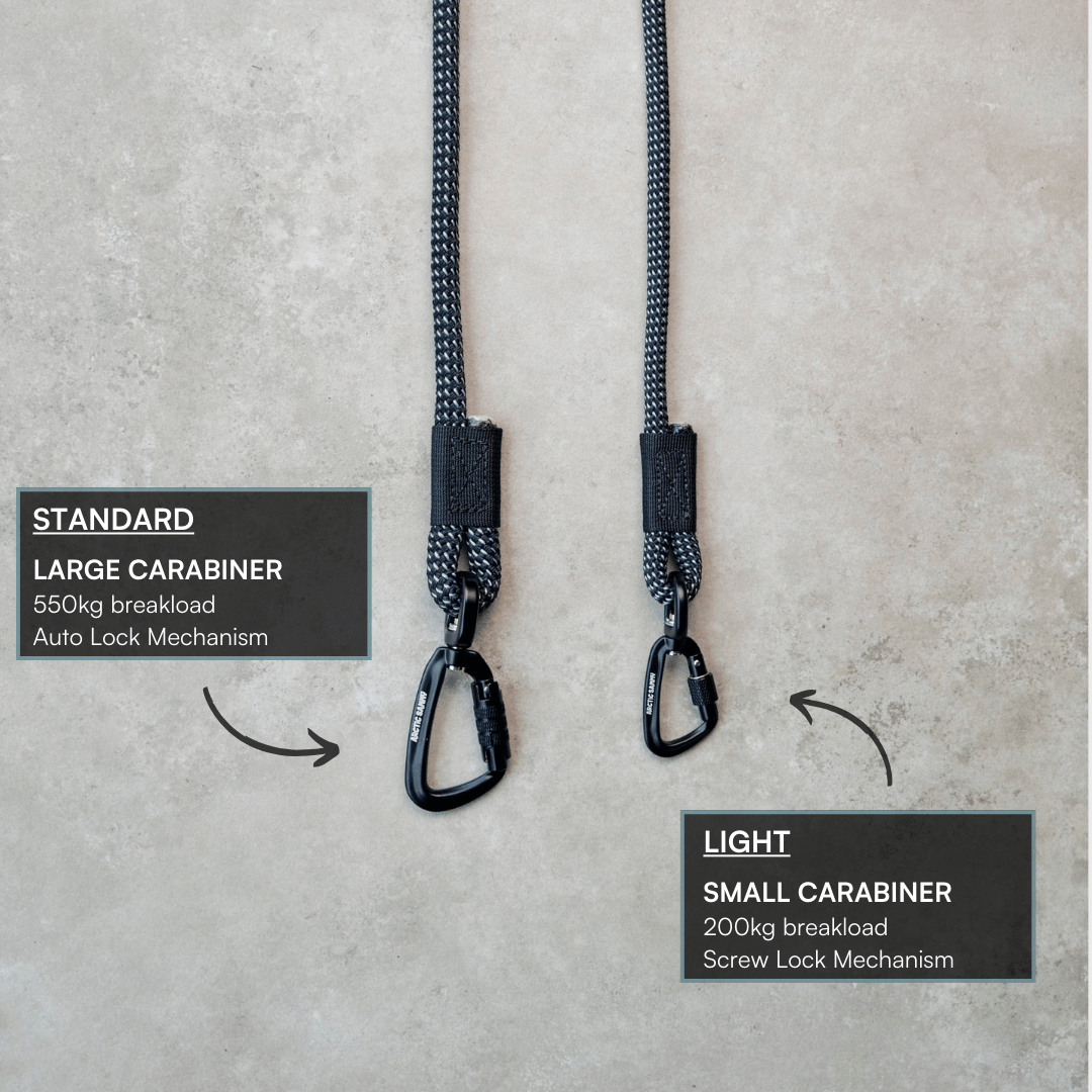 Mackenzie Double Dog Leash Splitter