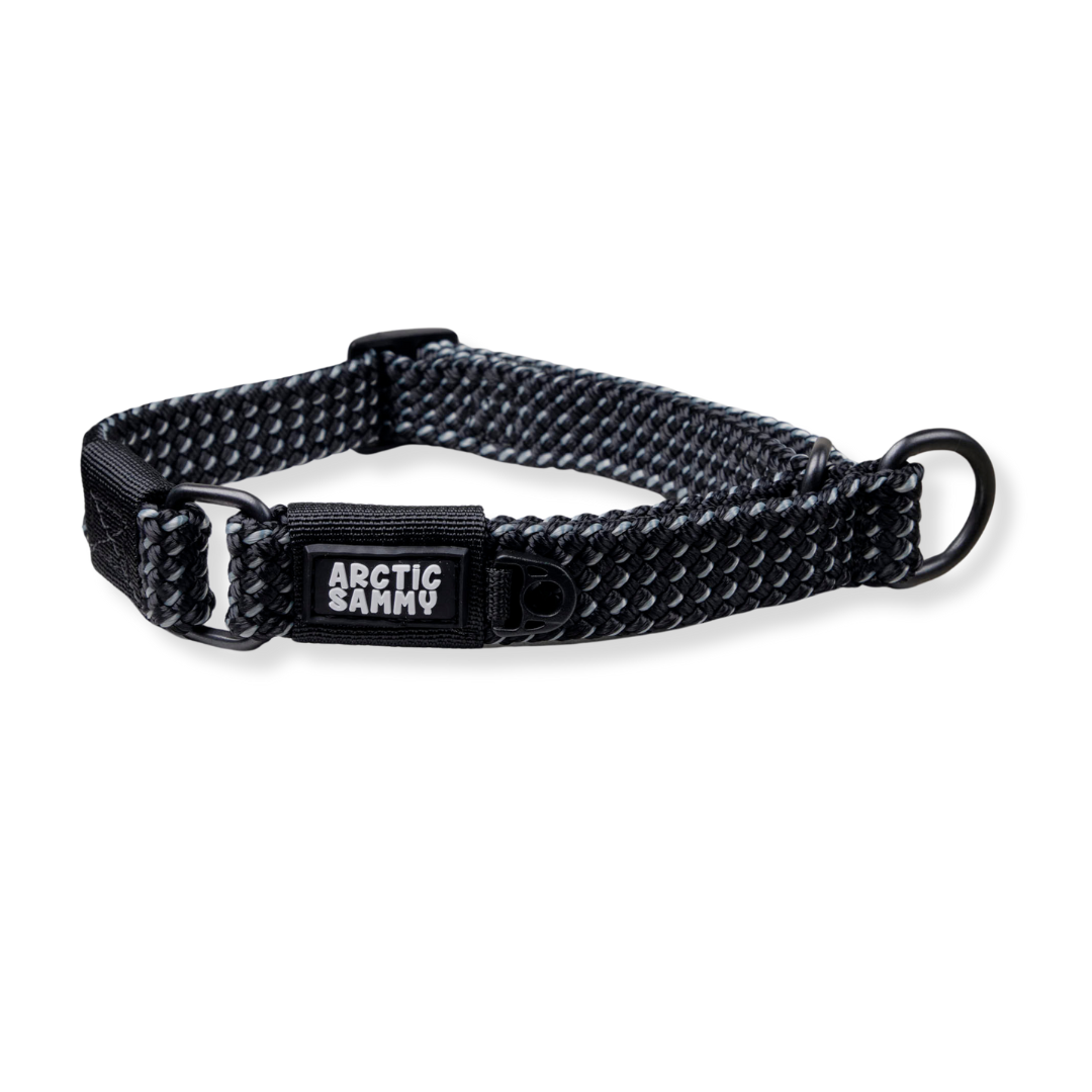 Mackenzie Martingale Collar
