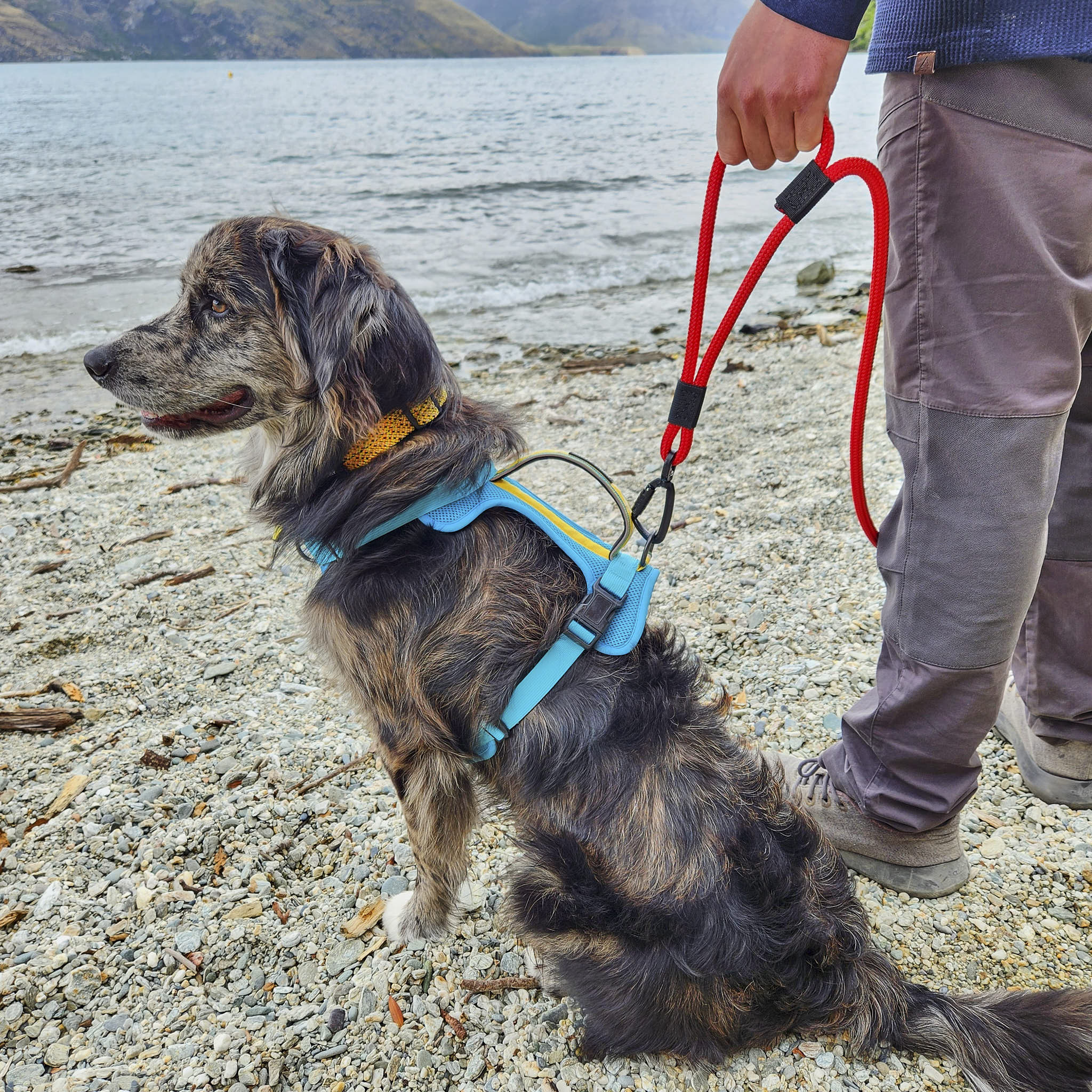 Monowai Rope Dog Leash with Traffic Handle