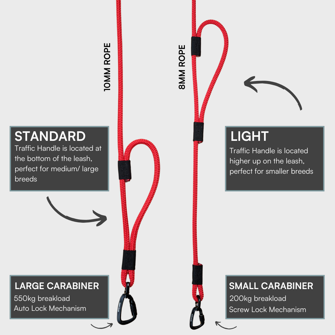 Monowai Rope Dog Leash with Traffic Handle