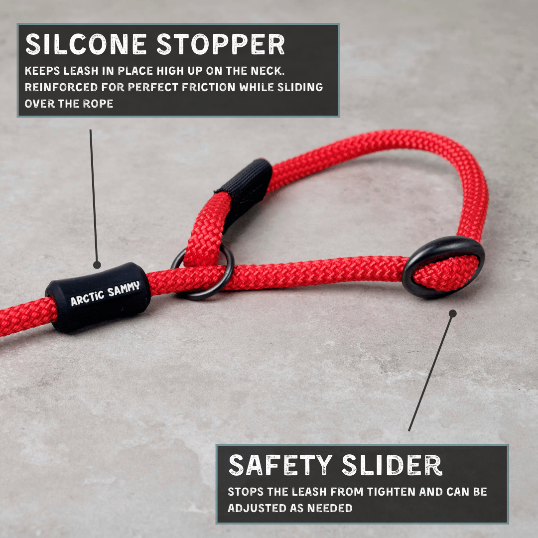 Monowai Dog Slip Leash