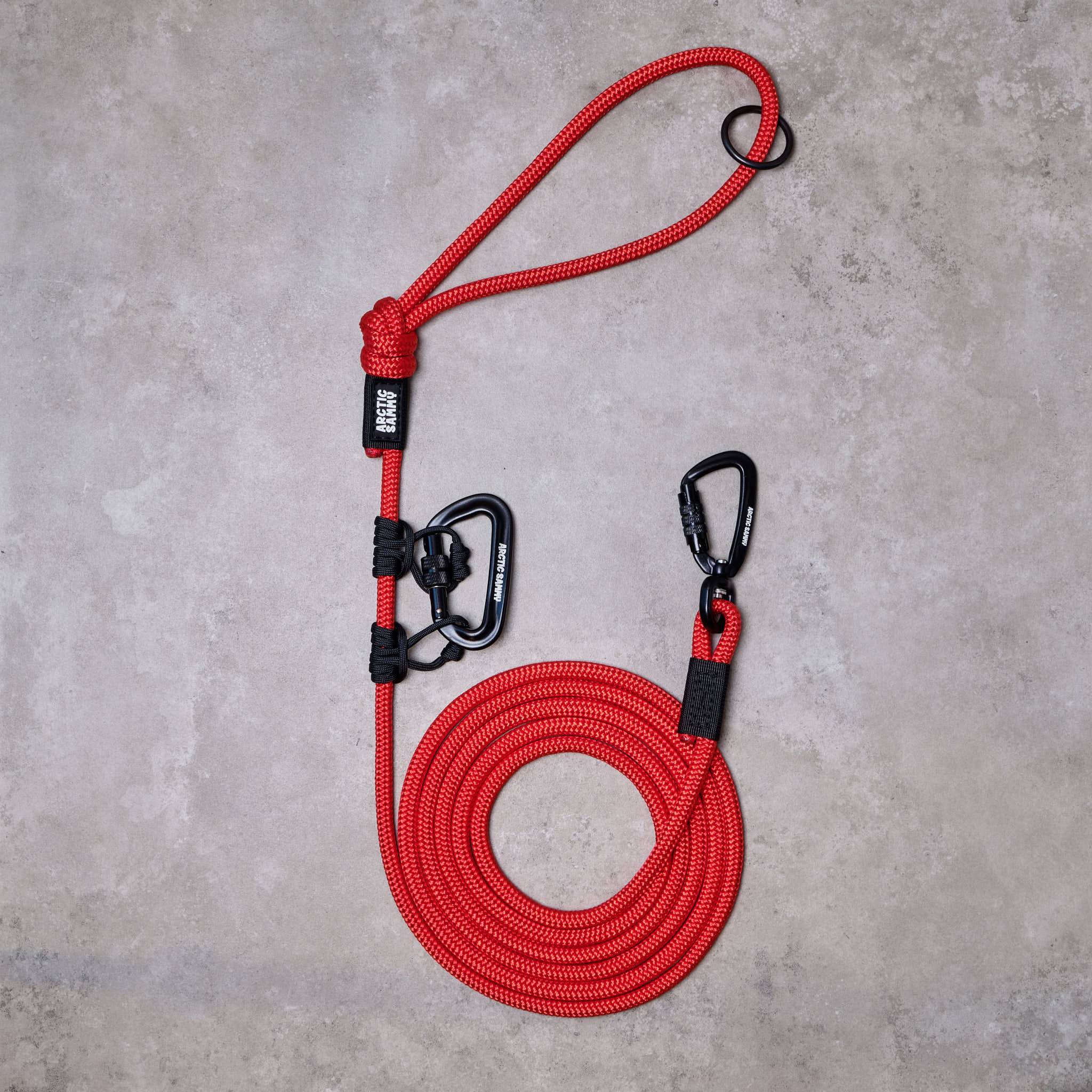 small dog leash