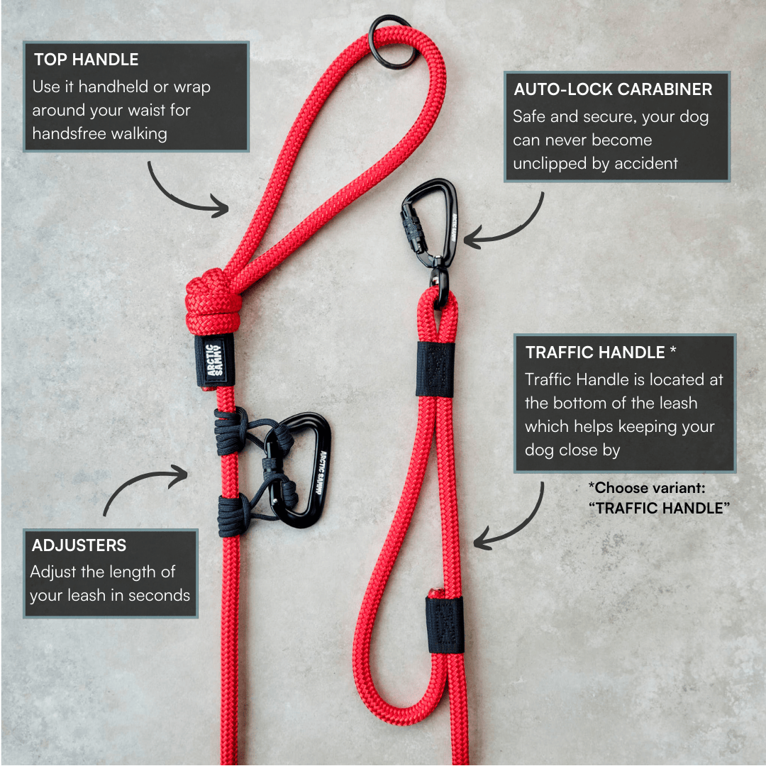 Monowai Trail Runner Handsfree Dog Leash