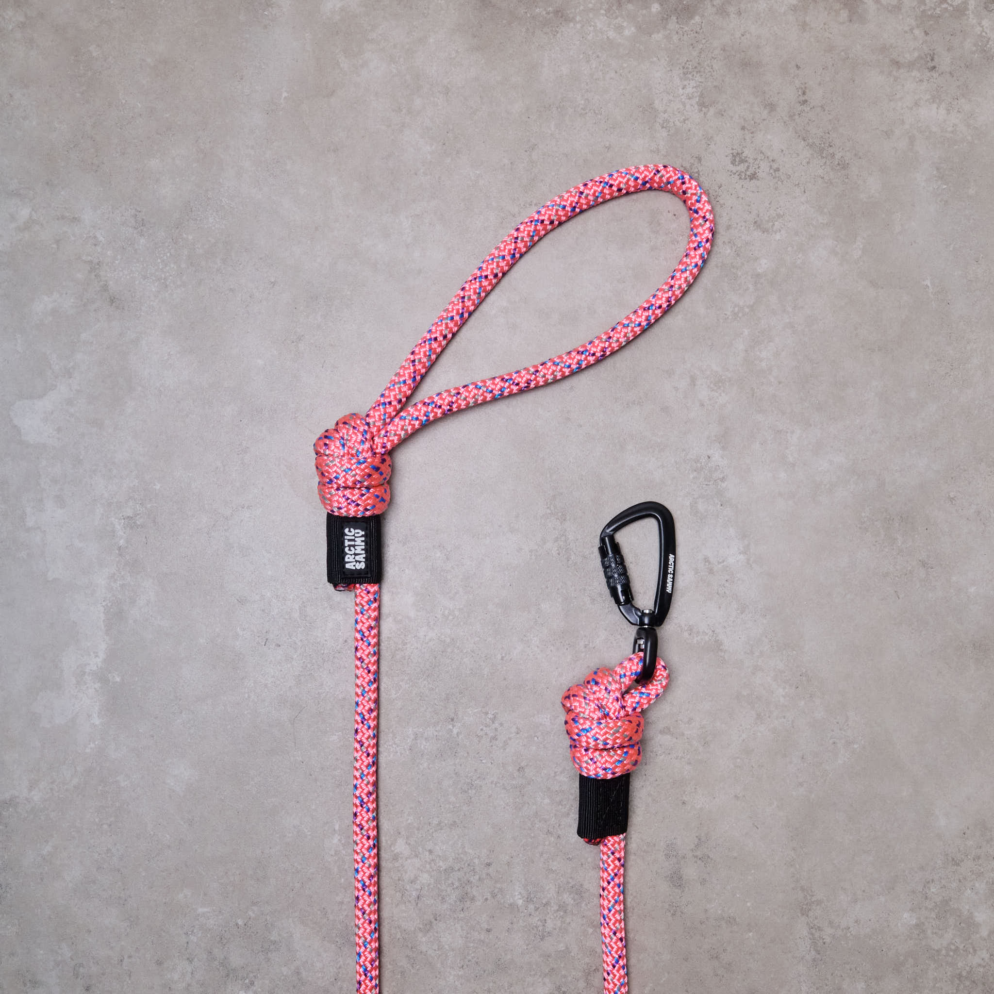 dog leads