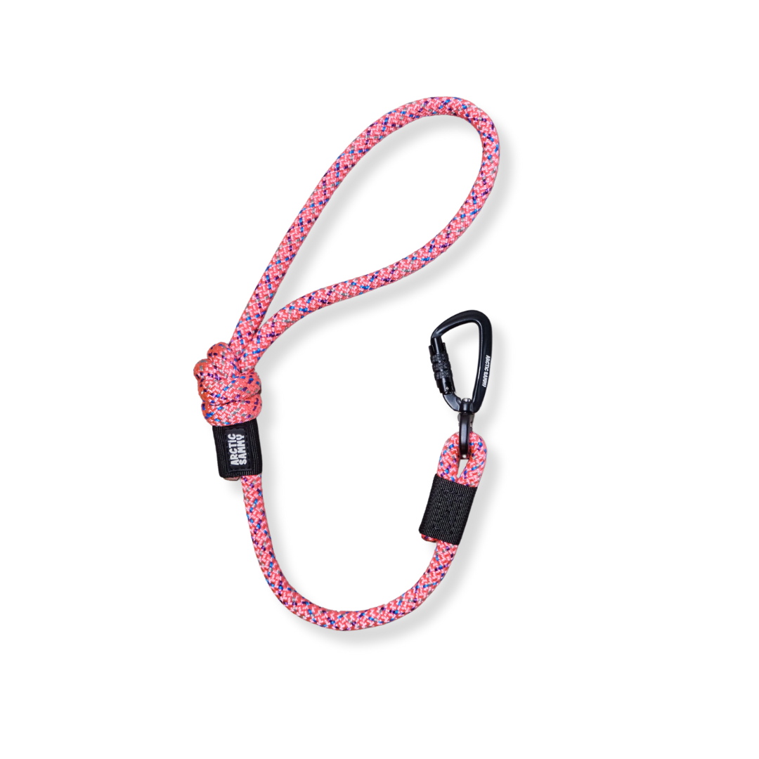 Ohau City Walker Dog Traffic Leash