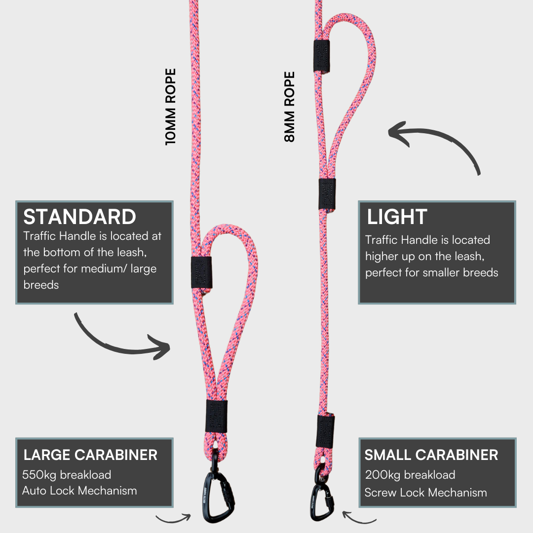 Ohau Rope Dog Leash with Traffic Handle