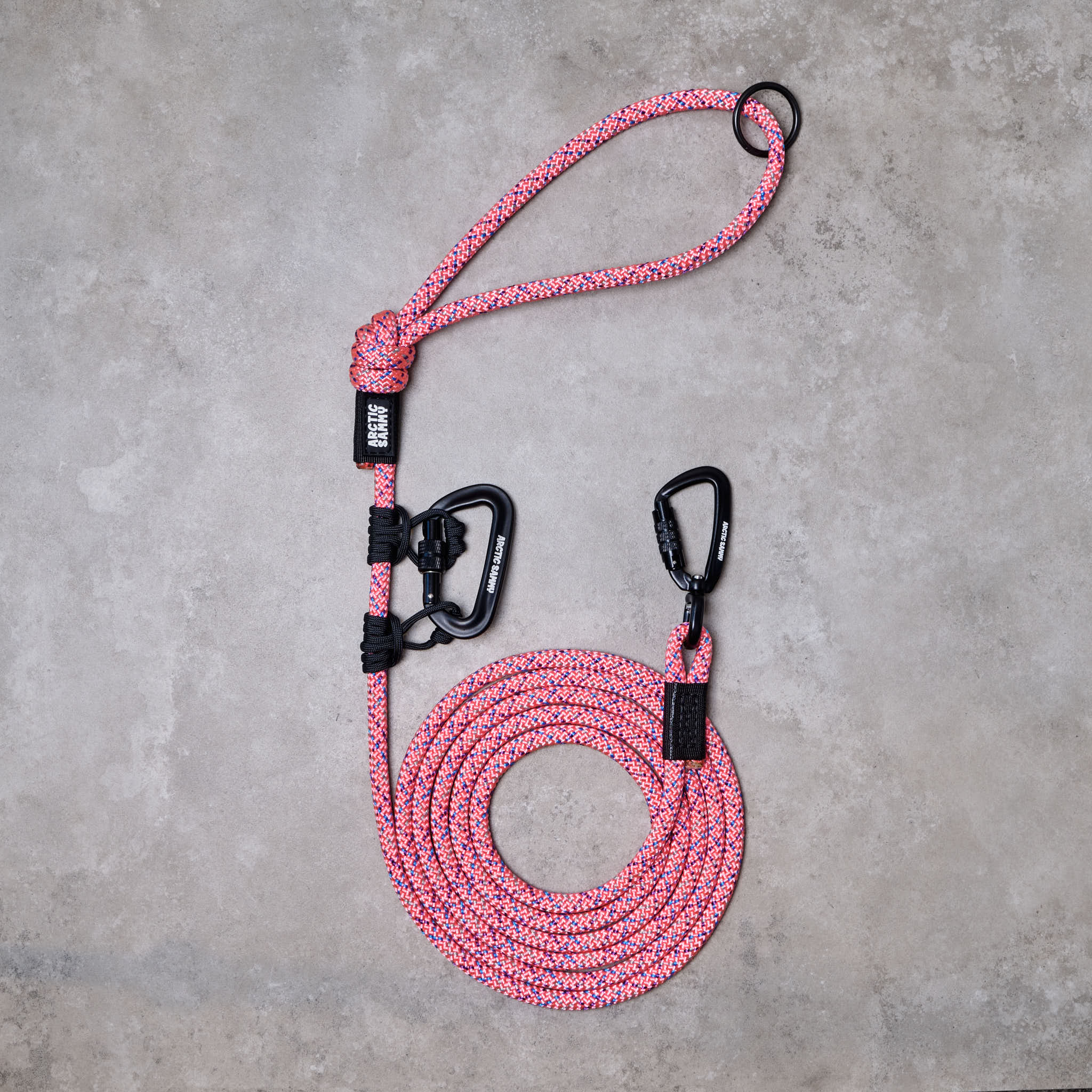 Dog Leads