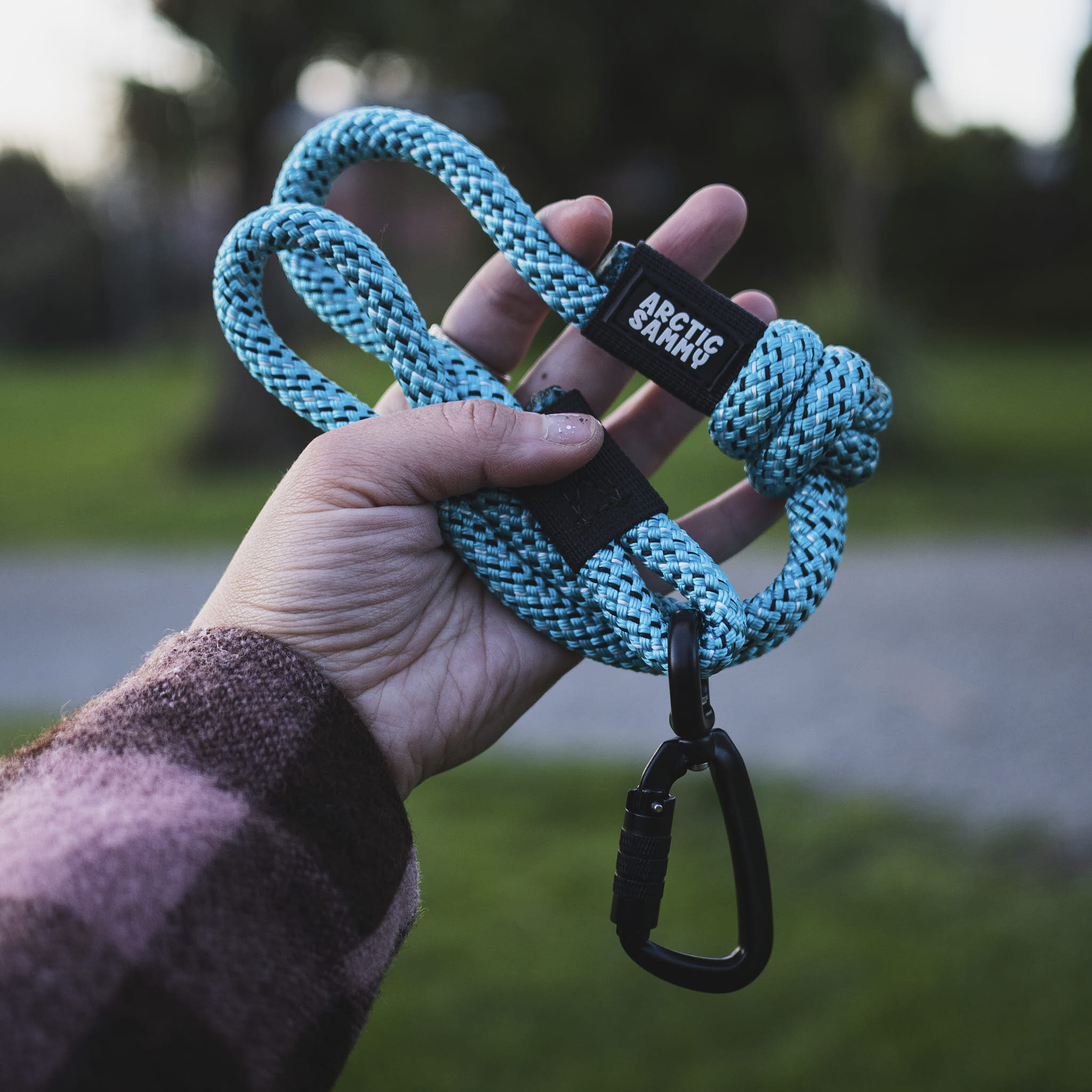 Pukaki City Walker Dog Traffic Leash