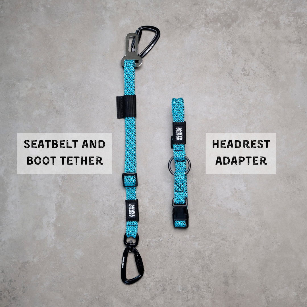 3-in-1 Dog Car Tether Pukaki