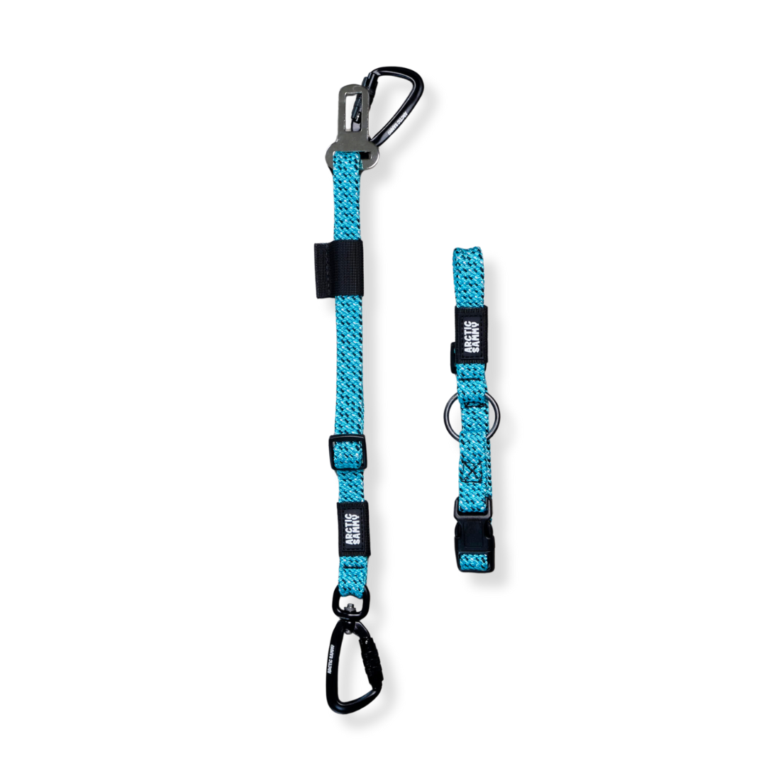 3-in-1 Dog Car Tether Pukaki