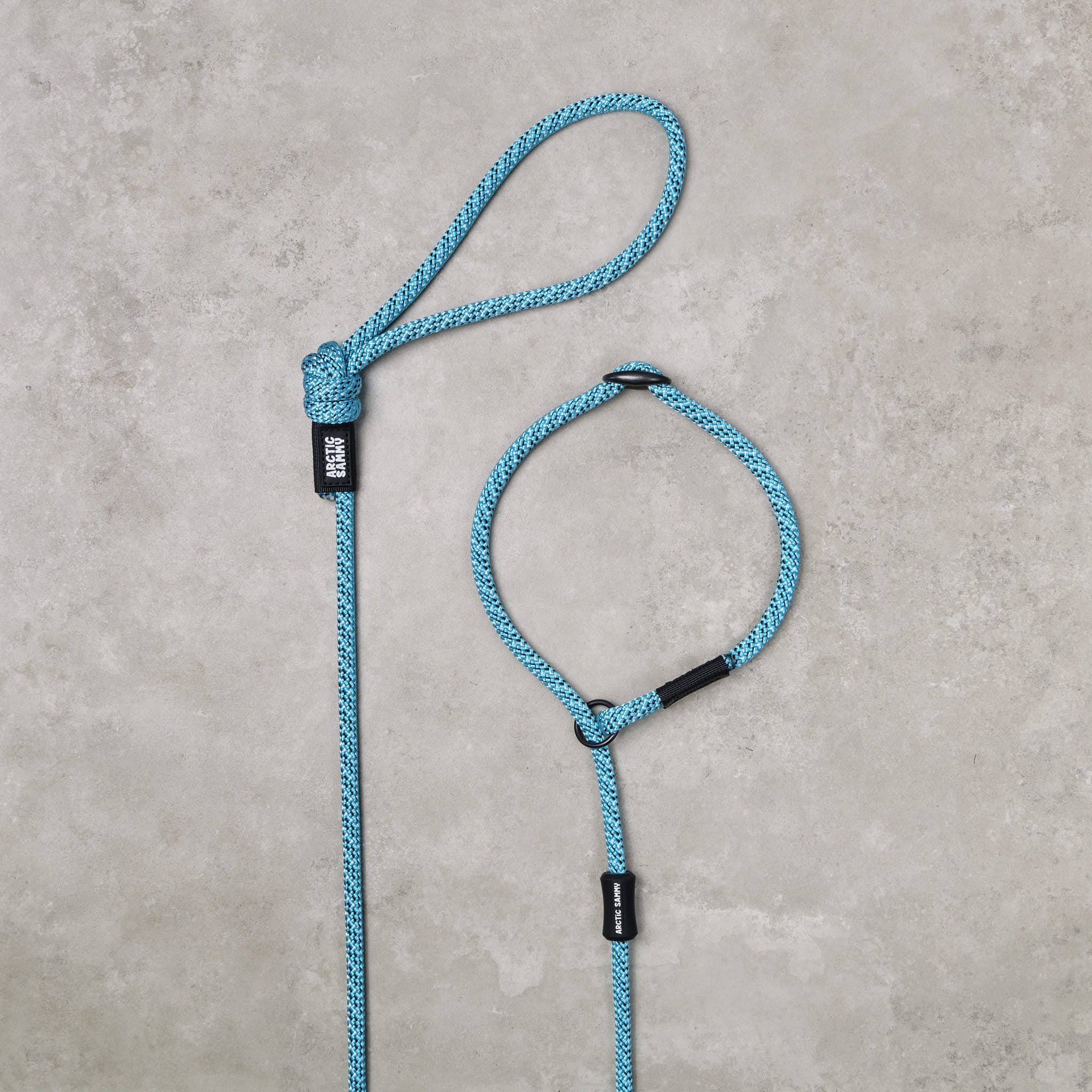 Pukaki Dog Slip Leash