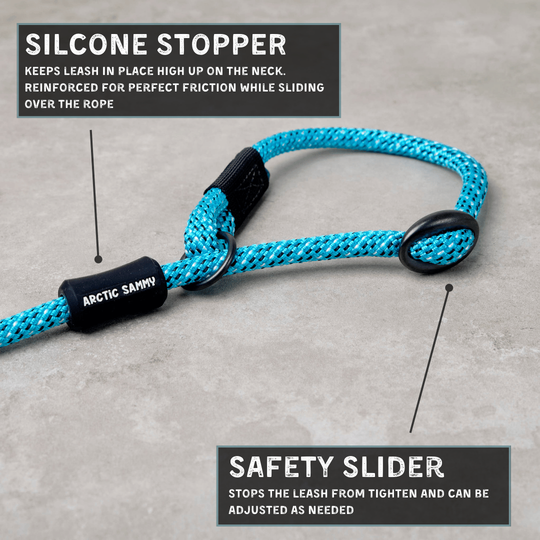Pukaki Dog Slip Leash