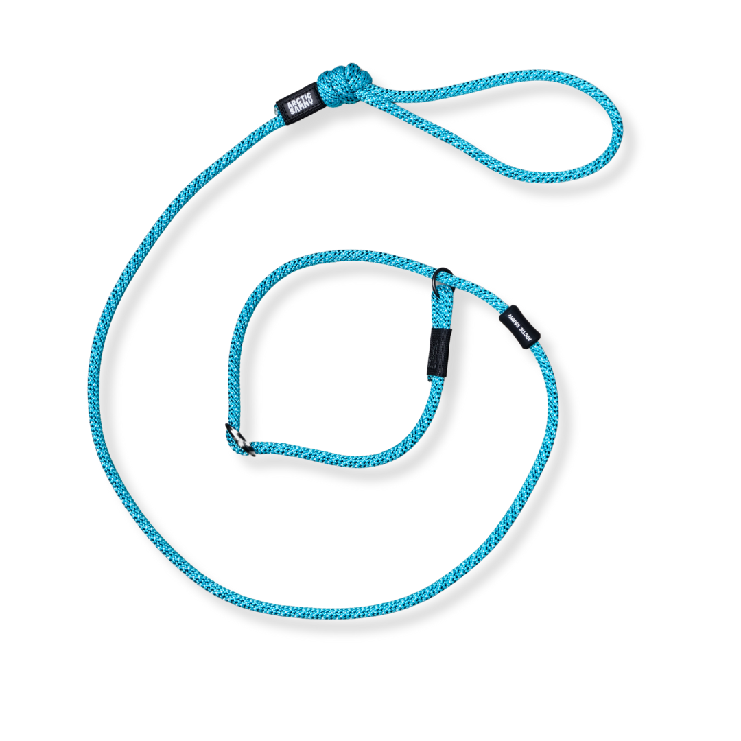 Pukaki Dog Slip Leash