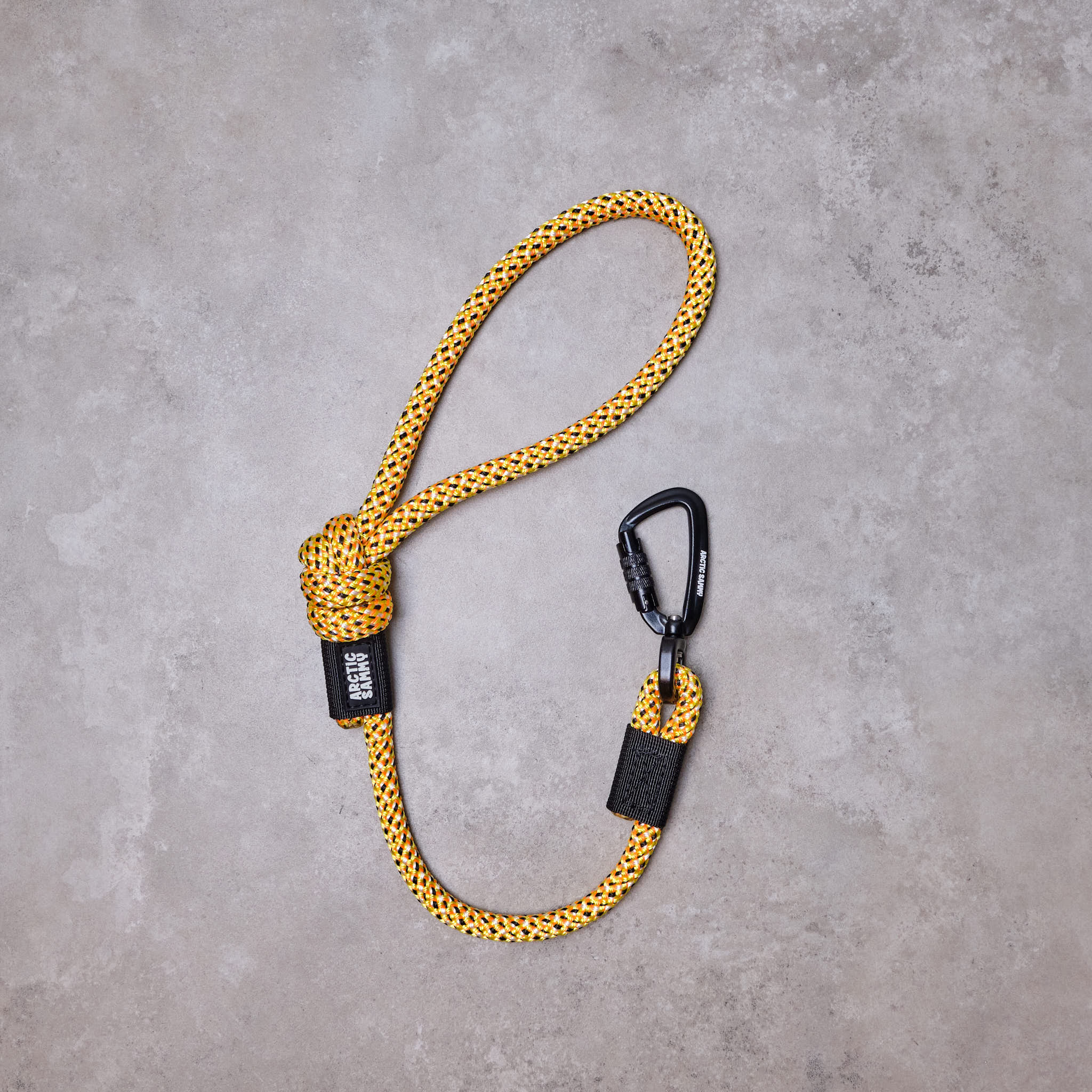 Raglan City Walker Dog Traffic Leash